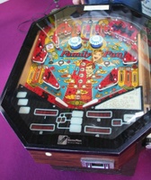 Image # 40976: Family Fun! Playfield