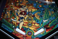Image # 22631: Arena Lower Playfield