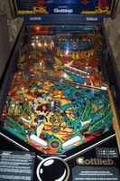 Image # 22628: Arena Playfield
