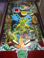 Image # 52794: Nautilus Playfield