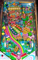 Image # 52446: Farfalla Playfield