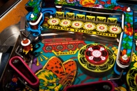 Image # 52450: Farfalla Elevated Playfield