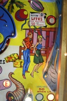 Image # 43648: Festival Playfield - Detail