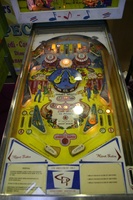 Image # 43646: Festival Playfield