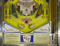 Image # 76934: Festival Lower Playfield