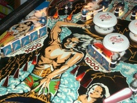 Image # 19179: Flash Playfield - Detail
