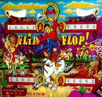 Image # 852: Flip Flop Backglass