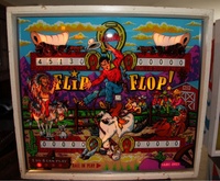Image # 40132: Flip Flop Illuminated Backglass