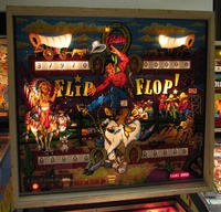 Image # 45688: Flip Flop Prototype Game - Illuminated Backglass