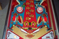Image # 10201: Flip Flop Lower Playfield