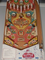 Image # 54531: Flipper Playfield