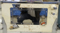 Image # 59447: Flipper Fair Sample Game - Cabinet - Front 
(The metal parts are polished originals. Serial number 55042 S.)