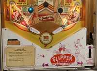 Image # 67533: Flipper Fair Sample Game - Apron 
(Serial number 55042 S.)
