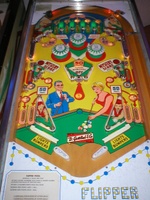 Image # 8916: Flipper Pool Playfield