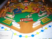 Image # 8917: Flipper Pool Lower Playfield
