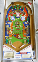Image # 79884: Flying Carpet Sample Game - Playfield 
(Serial number 01025 S.)