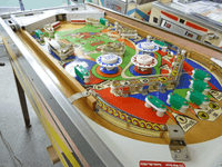 Image # 79885: Flying Carpet Sample Game - Playfield - Downfield View 
(Serial number 01025 S.)