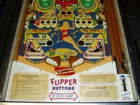 Image # 25481: Flying Circus Lower Playfield 
(The slingshot plastics are reproductions.)