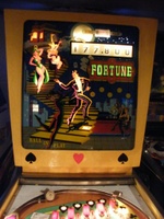 Image # 48079: Fortune Illuminated Backglass