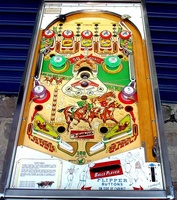 Image # 19115: Foto Finish Playfield