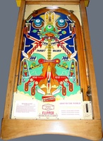 Image # 11743: Around the World Playfield