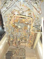 Image # 40515: 4 Roses Under Upper Playfield