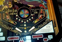 Image # 19375: Foxy Lady Lower Playfield