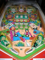 Image # 12754: Full House Playfield 
(From the Rich Huth Collection)