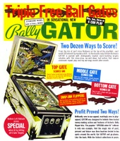 Image # 4033: Gator Flyer