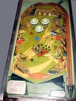 Image # 8081: Gator Playfield