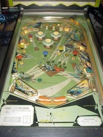 Image # 30532: Gator Playfield