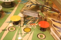 Image # 35073: Gator Playfield - Detail