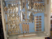 Image # 30538: Gator Inside Backbox