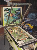 Image # 30539: Gator Playfield Glass Raised