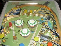 Image # 30540: Gator Upper Playfield