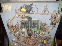 Image # 30545: Gator Under Lower Playfield