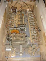 Image # 30542: Gator Inside Cabinet