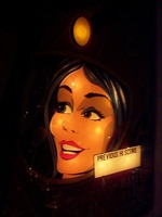 Image # 23116: Astro Lit Backglass Detail