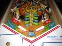 Image # 50267: Gemini Lower Playfield 
(Serial number 4249.)