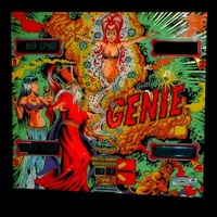 Image # 18931: Genie Backglass