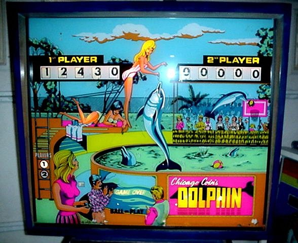 Dolphin