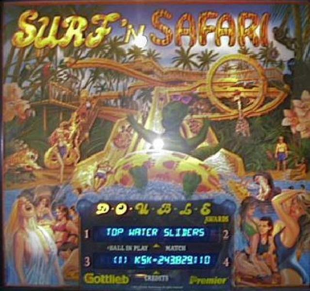 Surf 'n Safari