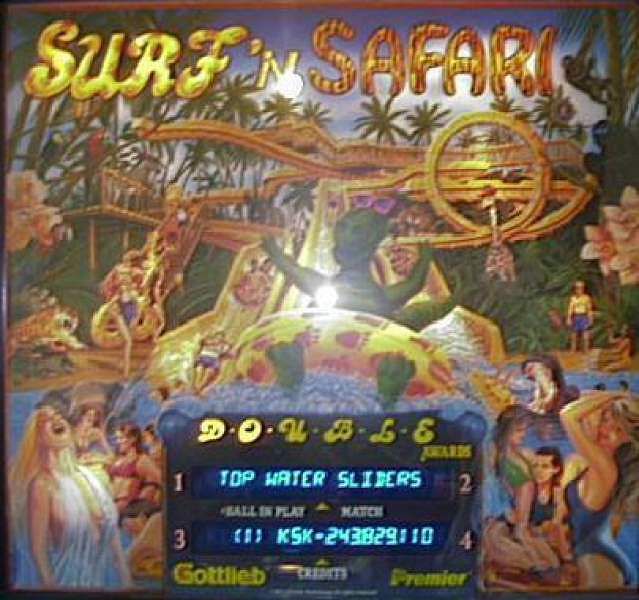 Surf 'n Safari
