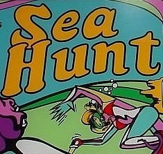 Sea Hunt