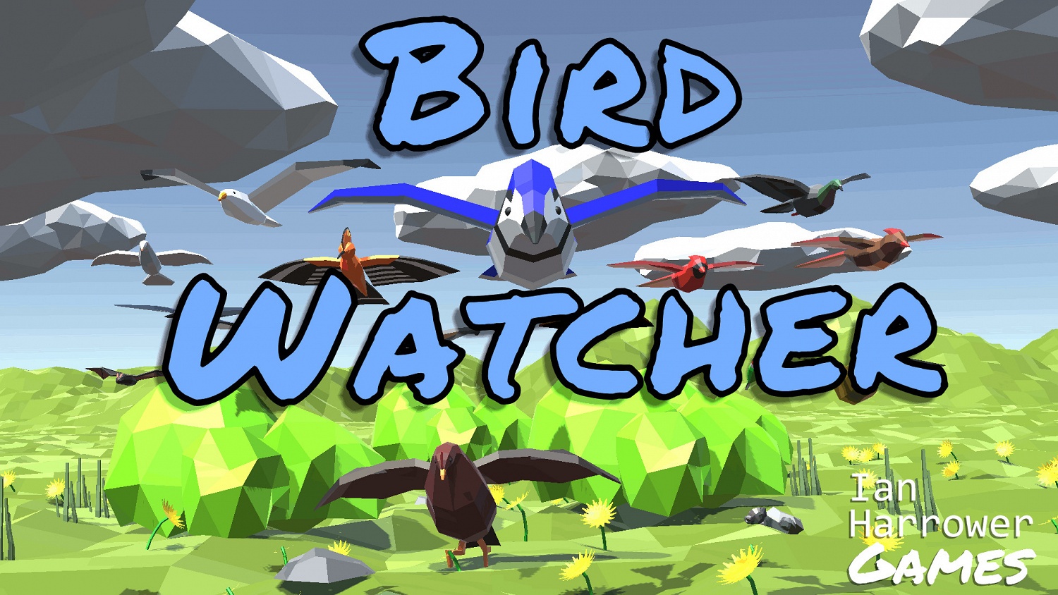 Bird Watcher