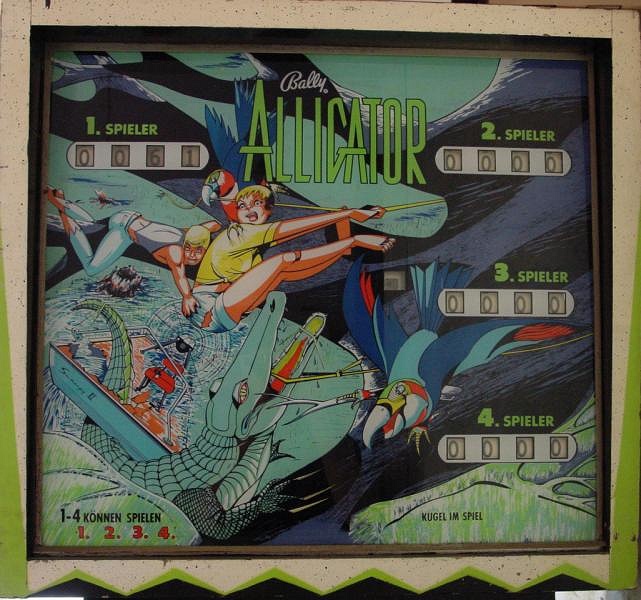 Alligator