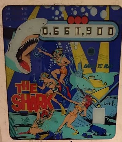 The Shark